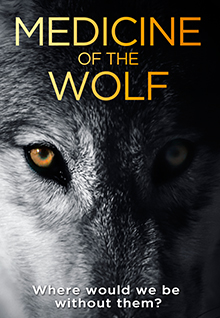 Medicine Of The Wolf: Film Poster - Close up of a wolf's face, one half lit with its striking eye and the right side is shadowed
