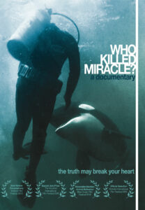 Who Killed Miracle?